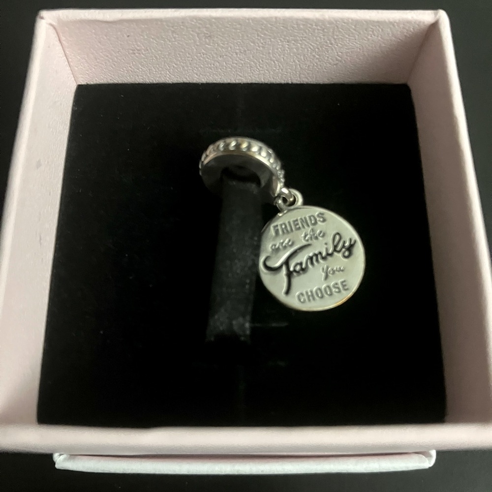 Pandora Charm - Friends are the Family You Choose